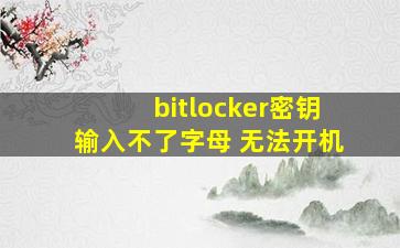 bitlocker密钥输入不了字母 无法开机